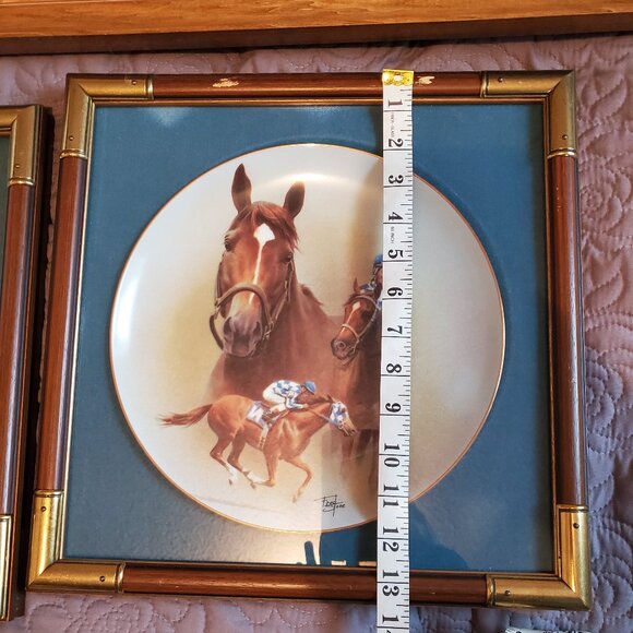 Fred Stone limited edition framed plate - Picture 7 of 8